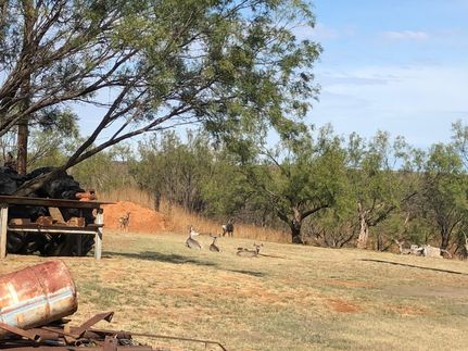 Property in Hall County, Texas