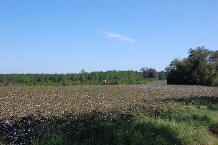 Residential Property in Worth County, Georgia