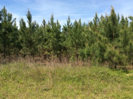 Ranch Property in Columbia County, Arkansas
