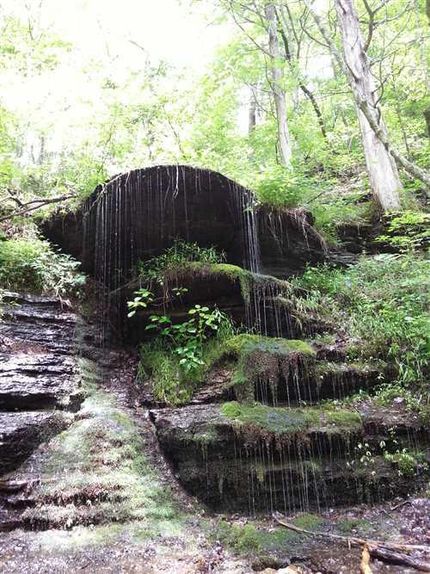 Farm Property in Wayne County, Tennessee
