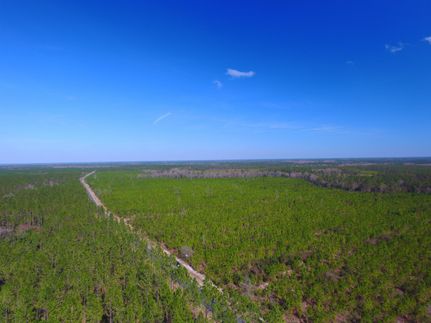Hunting Land in Brantley County, Georgia