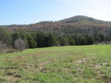 Undeveloped Land in Fleming County, Kentucky