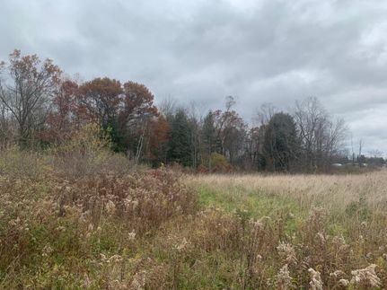 Farm Property in Mecosta County, Michigan