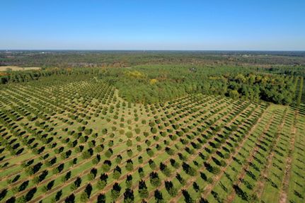 Farm Property in Macon County, Georgia
