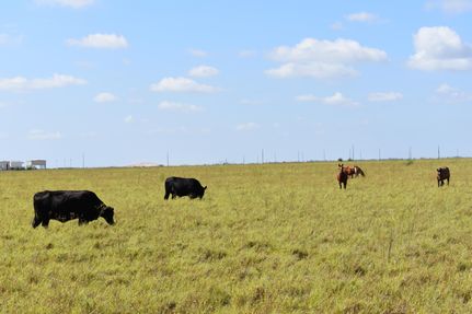 Farm Property in Hidalgo County, Texas