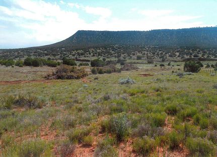 Farm Property in San Miguel County, New Mexico