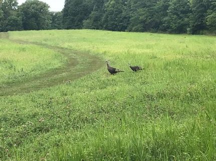 Property in Sangamon County, Illinois