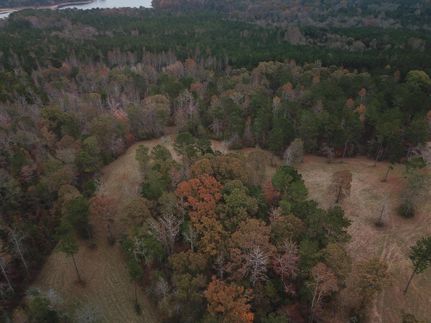 Farm Property in Chambers County, Alabama