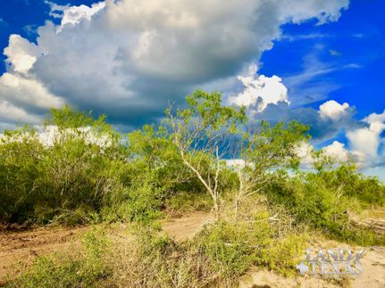 Farm Property in Duval County, Texas