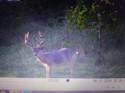 Farm Property in Cedar County, Missouri