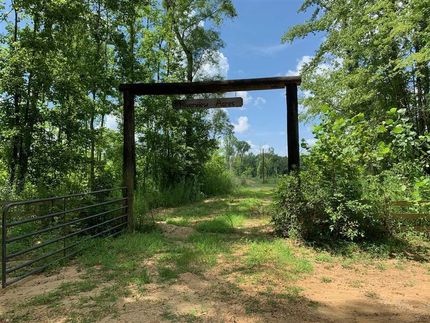 Lakefront Property in Hale County, Alabama