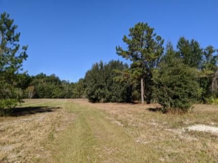 Ranch Property in Hamilton County, Florida