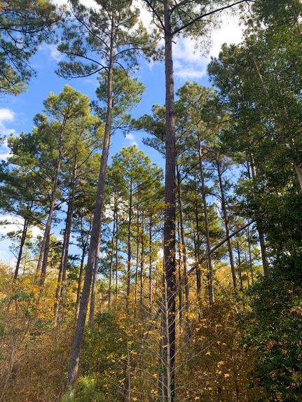 Recreational Property in Cherokee County, Texas