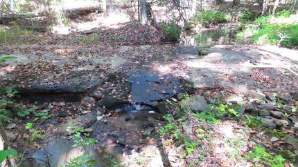 Hunting Land in Chambers County, Alabama