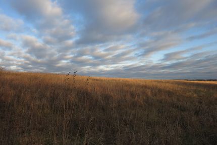 Farm Property in Harrison County, Missouri