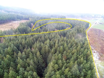 Waterfront Property in Lewis County, Washington