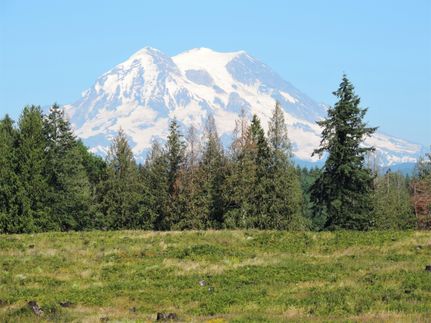 Farm Property in Pierce County, Washington