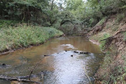 Riverfront Property in Upshur County, Texas