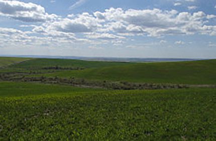 Property in Umatilla County, Oregon