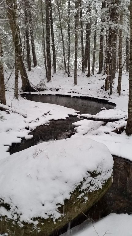 Farm Property in Penobscot County, Maine