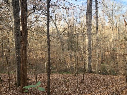 Farm Property in Union Parish, Louisiana