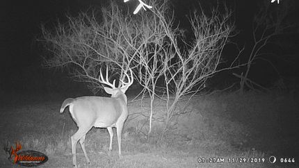 Property in Webb County, Texas