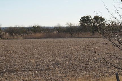 Farm Property in Concho County, Texas