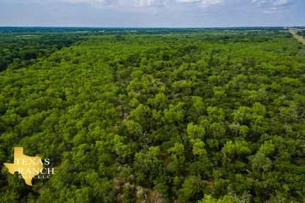 Timberland Property in Medina County, Texas