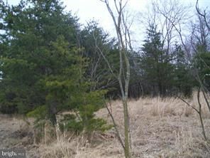 Farm Property in Hampshire County, West Virginia