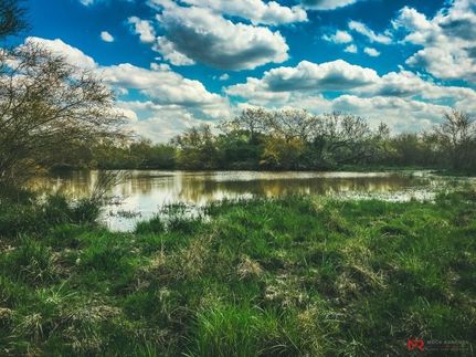 Ranch Property in Goliad County, Texas