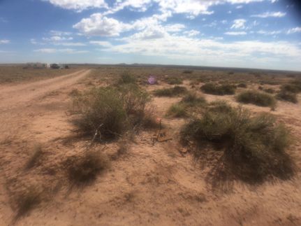 Ranch Property in Navajo County, Arizona