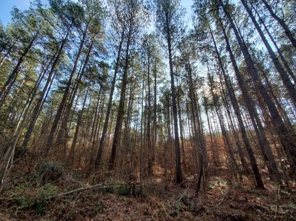 Farm Property in Brunswick County, Virginia