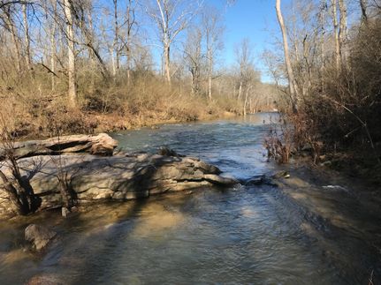 Farm Property in Blount County, Alabama