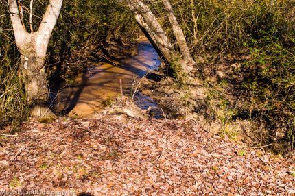 Residential Property in Spartanburg County, South Carolina