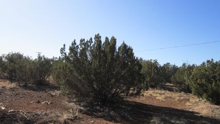 Residential Property in Navajo County, Arizona
