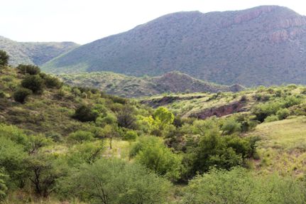 Ranch Property in Santa Cruz County, Arizona