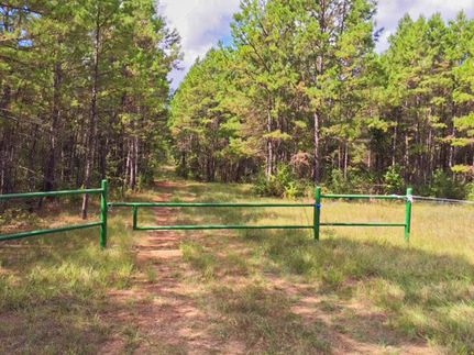 Recreational Property in Anderson County, Texas
