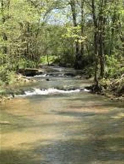Residential Property in Wright County, Missouri