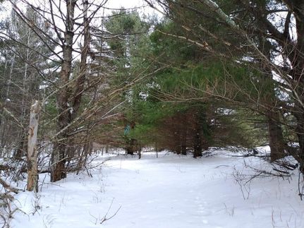 Farm Property in Burnett County, Wisconsin