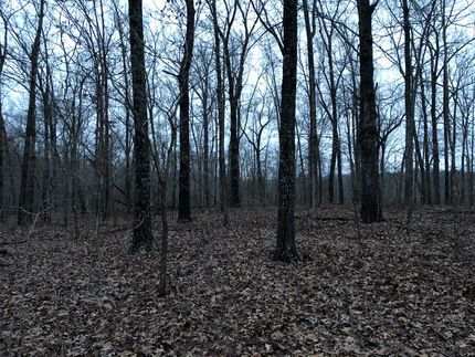 Farm Property in Marion County, Arkansas