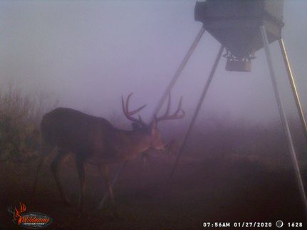 Recreational Property in Webb County, Texas