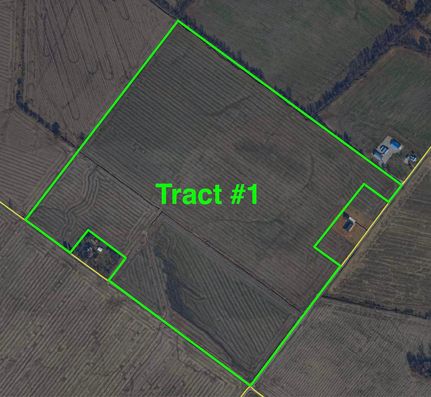 Farm Property in Henderson County, Kentucky