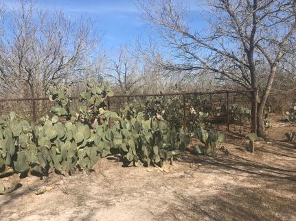 Residential Property in Live Oak County, Texas