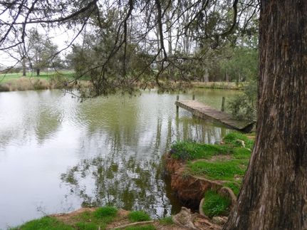 Property in Madison County, Georgia