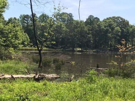 Timberland Property in Holmes County, Mississippi