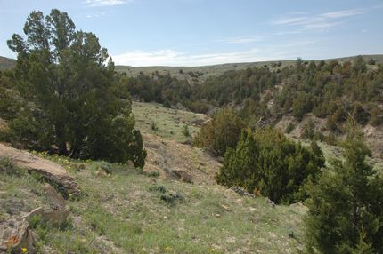 Farm Property in Niobrara County, Wyoming