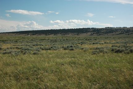 Hunting Land in Natrona County, Wyoming