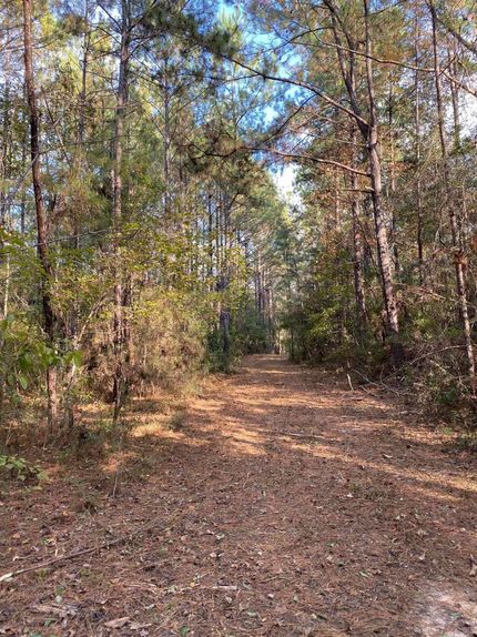 Riverfront Property in Lamar County, Mississippi