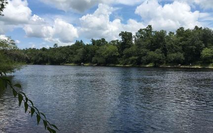 Waterfront Property in Lafayette County, Florida
