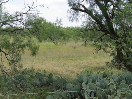 Farm Property in Concho County, Texas